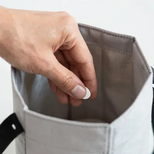 Từ vựng 放进 – Đặt vào