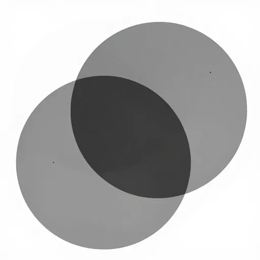 Từ vựng 重合 – trùng khớp, trùng nhau