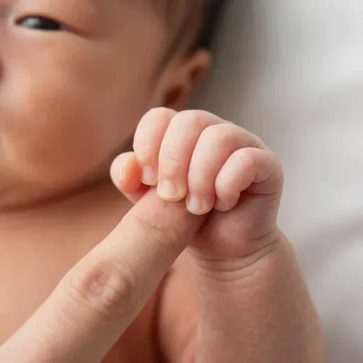 Từ vựng 子 – Con; tiếng tôn xưng: «Thầy», «Ngài»