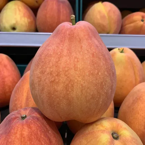 Từ vựng 而 – Mà, và