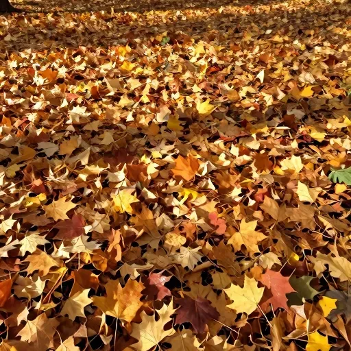 Từ vựng 多 – hơn, nhiều hơn (dùng sau số)