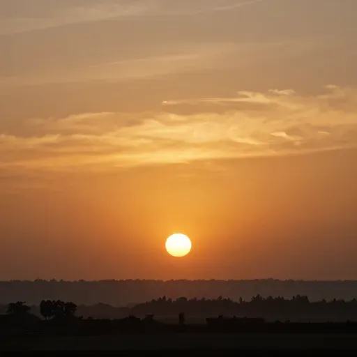 Từ vựng 东 – Phương đông