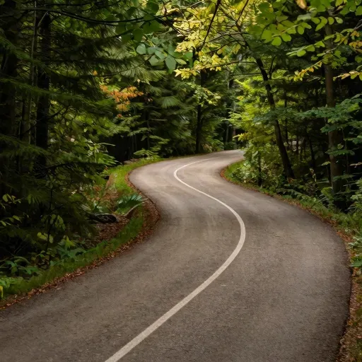 Từ vựng 另 – Khác, nữa