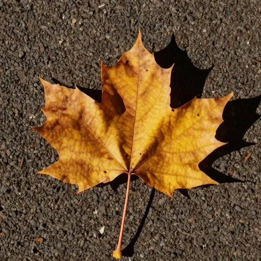 Từ vựng 叶 – Lá