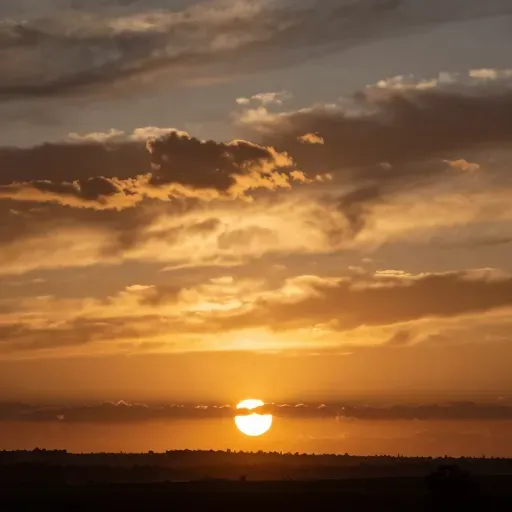 Từ vựng 西 – phía tây