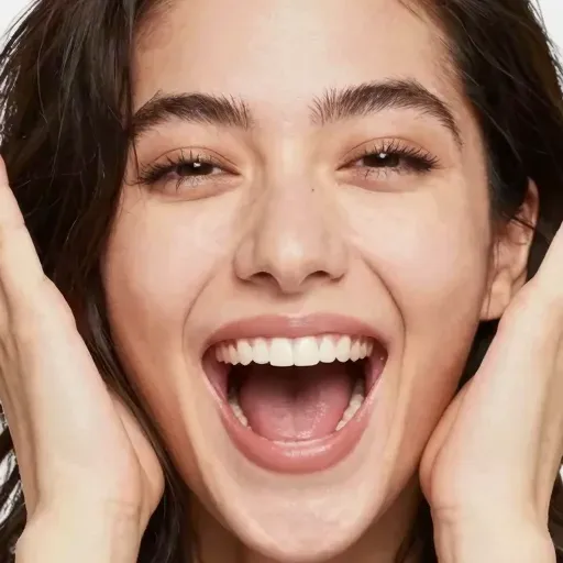 Từ vựng 极 – cực kỳ, tột cùng