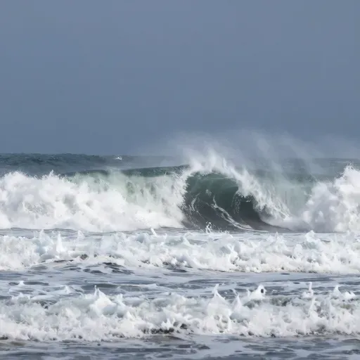 Từ vựng 易 – dễ, dễ thay đổi