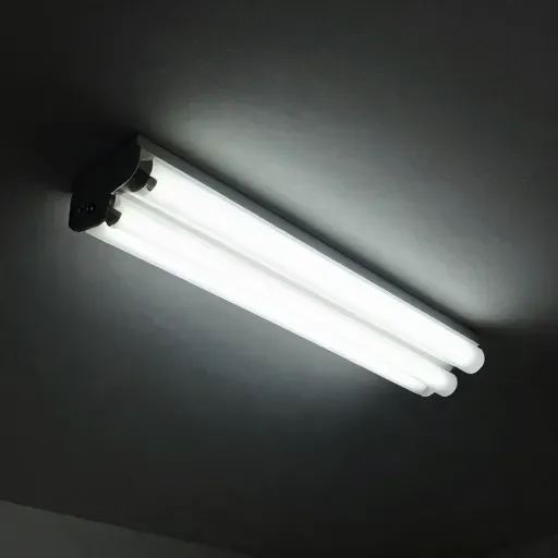 Từ vựng 育 – Nuôi dưỡng, giáo dục