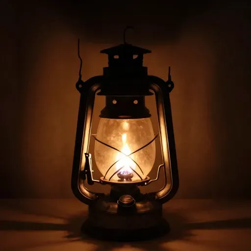 Từ vựng 诞 – sinh, ra đời