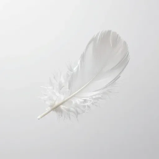 Từ vựng 轻 – Nhẹ, mềm, nhạt