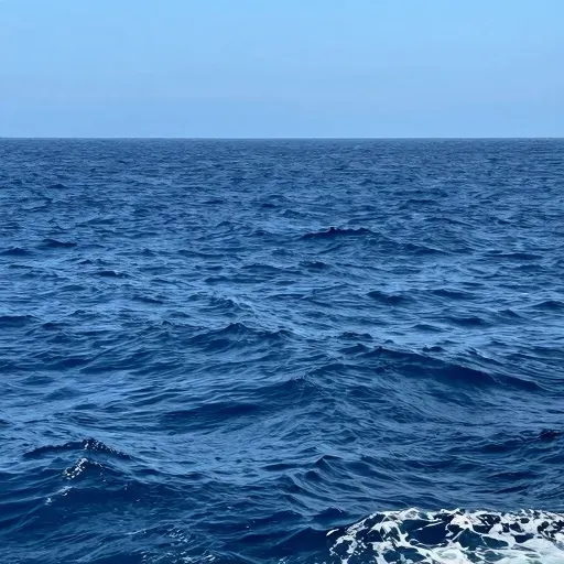 Từ vựng 海 – Biển