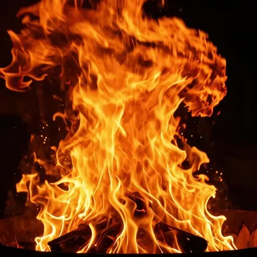 Từ vựng 烈 – Mãnh liệt; dữ dội