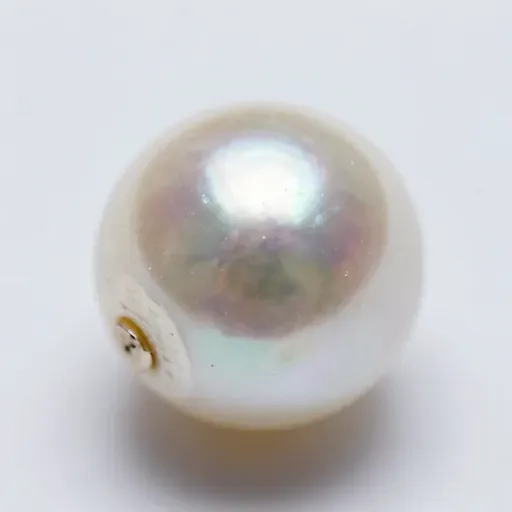 Từ vựng 珠 – Ngọc trai; hạt