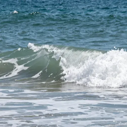 Từ vựng 浪 – Sóng; phung phí