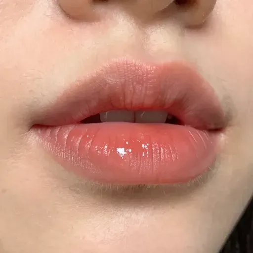 Từ vựng 唇 – môi