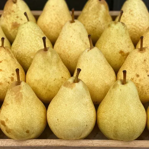 Từ vựng 梨 – quả lê