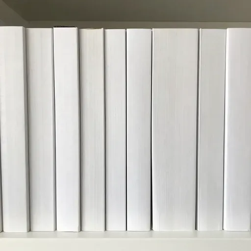 Từ vựng 正 – đang, đúng lúc