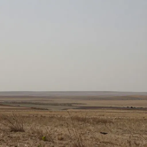 Từ vựng 遥 – Xa xôi; xa cách