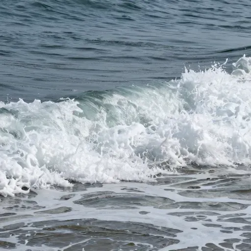 Từ vựng 潮 – thủy triều, xu hướng