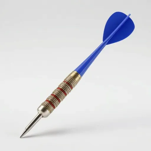 Từ vựng 镖 – Phi tiêu, hộ tống