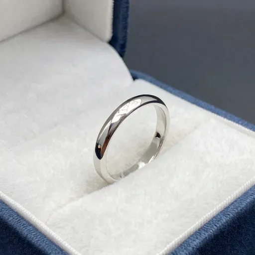 Từ vựng 白金 – Bạch kim