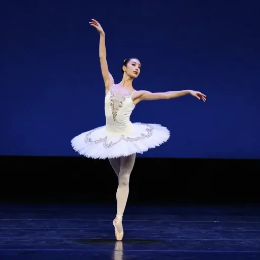 Từ vựng 舞者 – Diễn viên múa