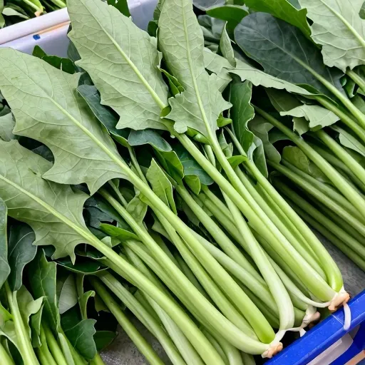 Từ vựng 芥菜 – Cải đắng