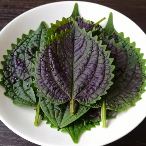 Từ vựng 紫苏 – Lá tía tô