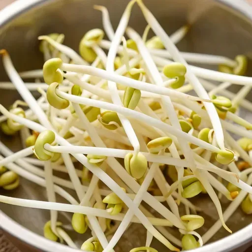 Từ vựng 豆芽 – Giá đỗ