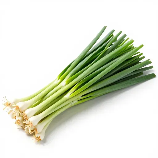 Từ vựng 韭菜 – Củ kiệu