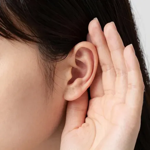 Từ vựng 耳朵 – Tai