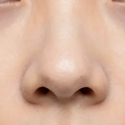 Từ vựng 鼻孔 – Lỗ mũi