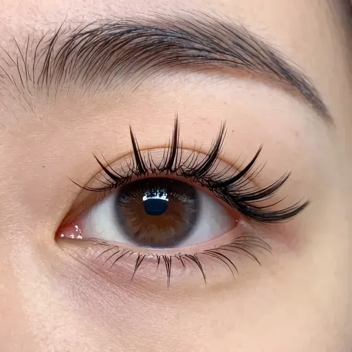 Từ vựng 睫毛 – Lông mi