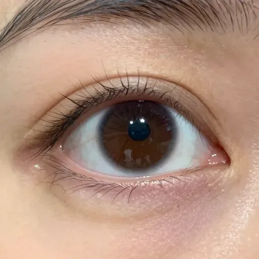 Từ vựng 瞳孔 – Con ngươi