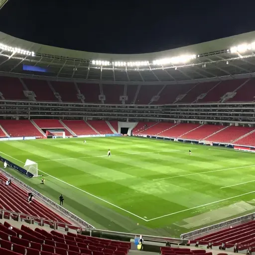 Từ vựng 球场 – Sân bóng