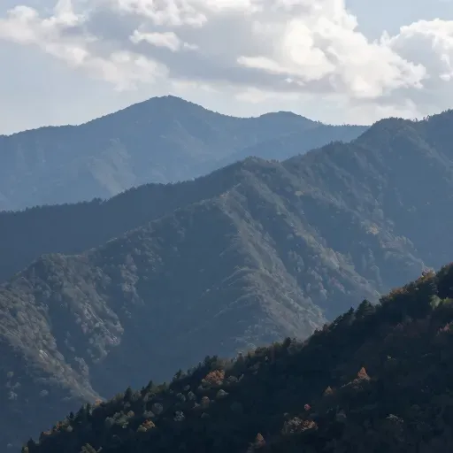 Từ vựng 背景 – Bối cảnh, bổ trợ