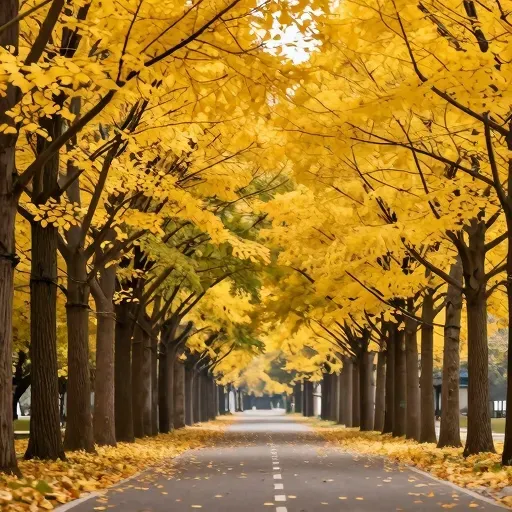 Từ vựng 黄 – Màu vàng