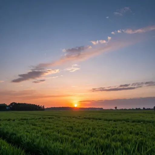 Từ vựng 美好 – Đẹp đẽ, tuyệt vời