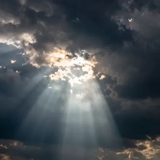 Từ vựng 光 – chỉ, chỉ mỗi, chỉ đơn thuần