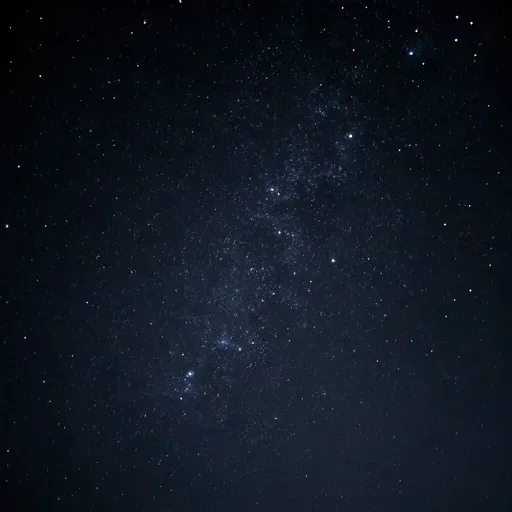 Từ vựng 无数 – Vô số, không đếm xuể