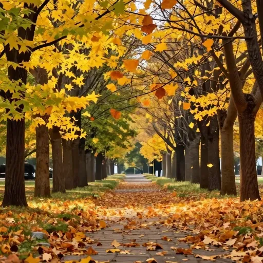 Từ vựng 随着 – Theo, cùng với