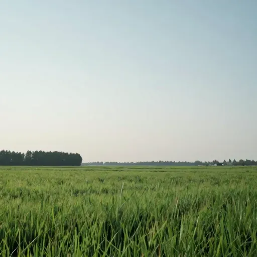 Từ vựng 宁静 – Yên bình, thanh bình