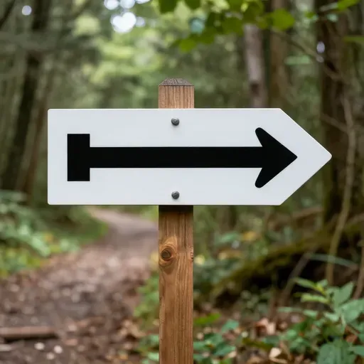 Từ vựng 向 – hướng về, đối với, phía