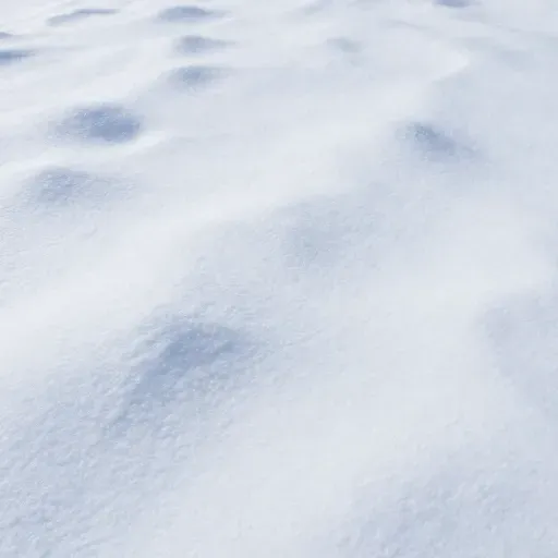 Từ vựng 覆盖 – phủ sóng, bao phủ