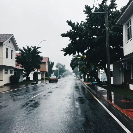 Từ vựng 雨天 – ngày mưa