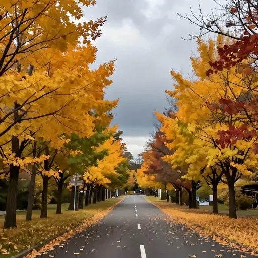 Từ vựng 到来 – sự đến, sự tới