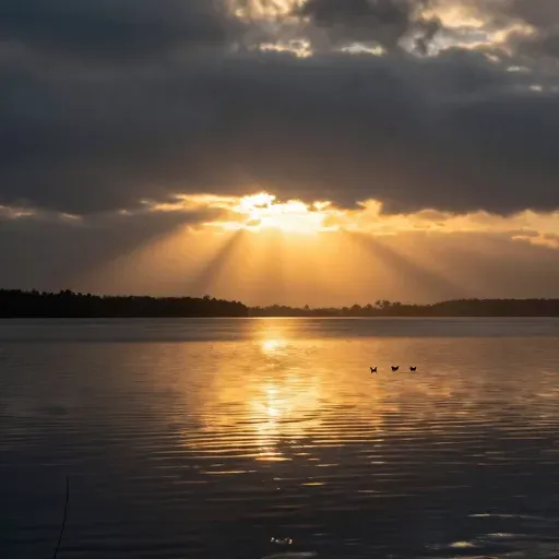 Từ vựng 日 – ngày, mặt trời