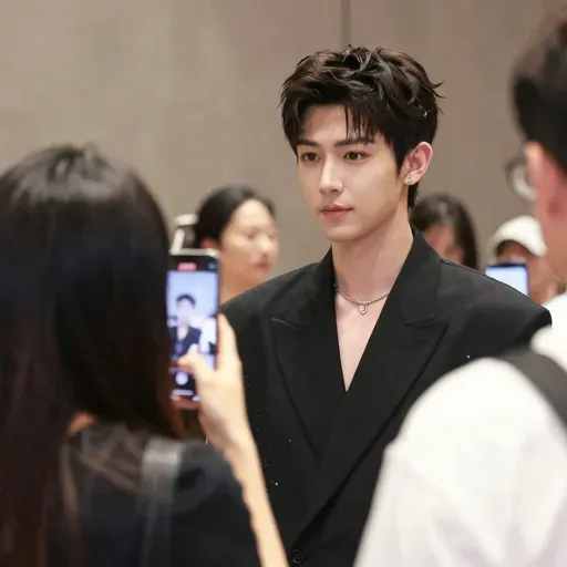 Từ vựng 偶像 – Thần tượng