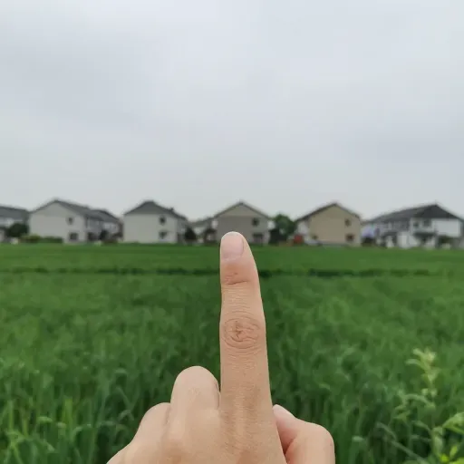 Từ vựng 那些 – những cái đó, những thứ đó, các đó