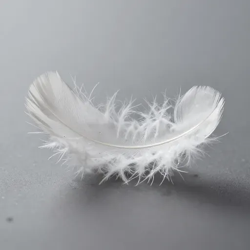 Từ vựng 轻 – Nhẹ, mềm, nhạt